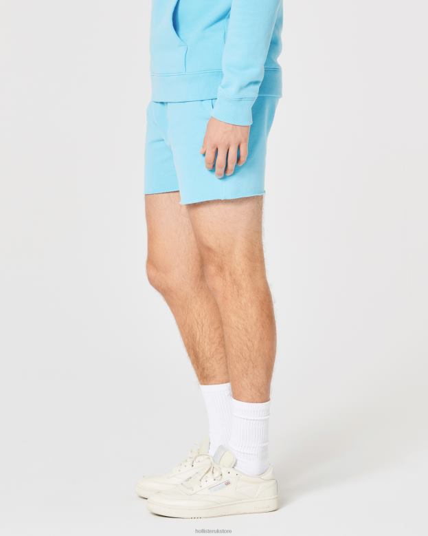 Bottoms Hollister Men Terry Fleece Logo Shorts 5\\ 488201260 Turquoise